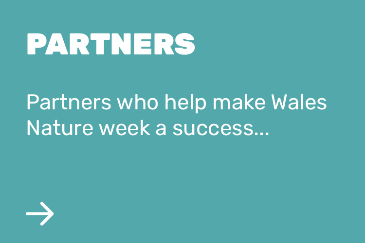 Partners who help make Wales Nature week a success